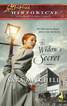 Title details for The Widow's Secret by Sara Mitchell - Available